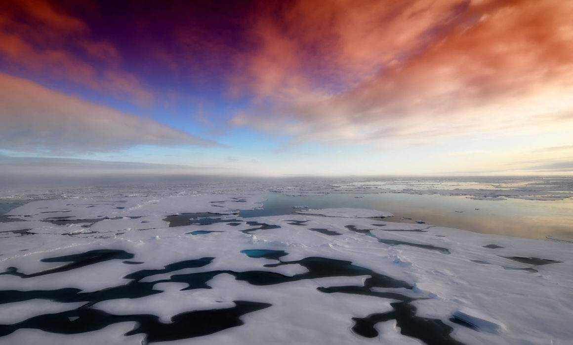 北極海/ Arctic Ocean
